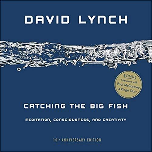 Catching the Big Fish - Meditation, Consciousness and Creativity David Lynch 168 pages  