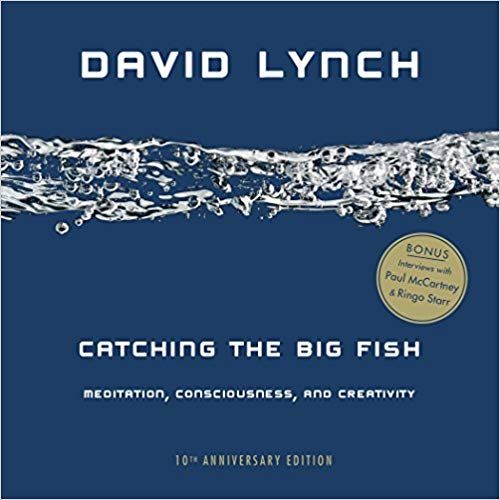 Catching the Big Fish - Meditation, Consciousness and Creativity    