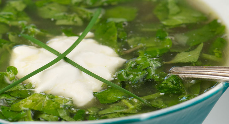 Brunnenkressesuppe